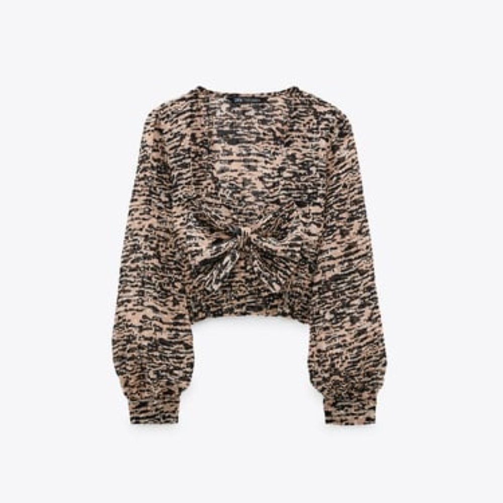 ZARA Animal Print Sheer Top